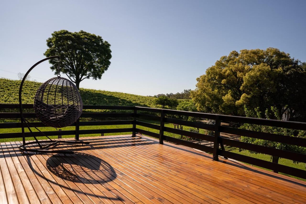 Balanço ninho no deck, de frente pro vinhedo