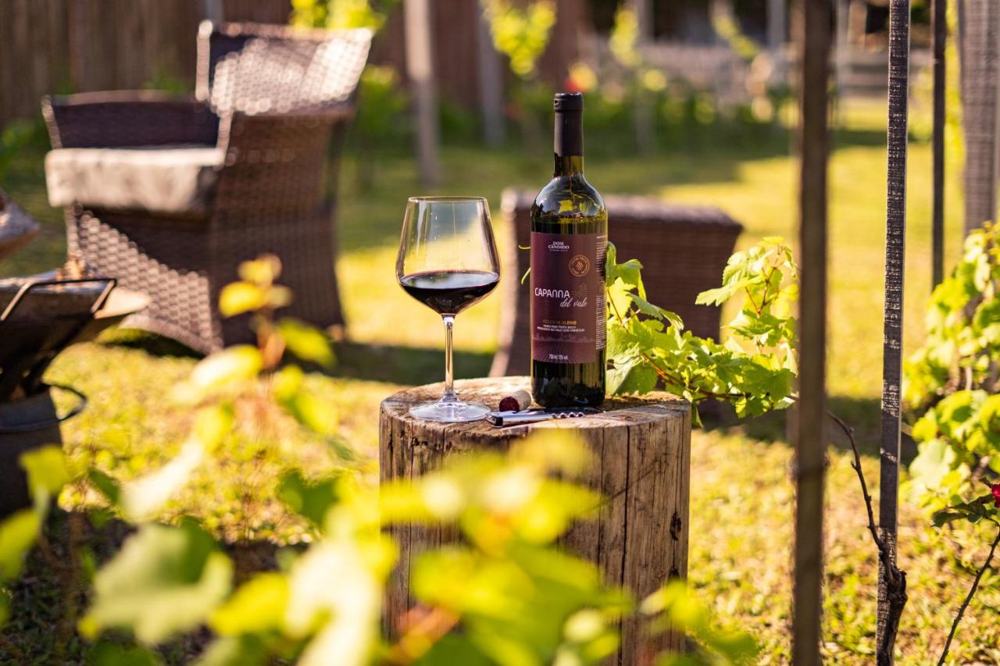 Vinho Capanna del Vale e uma taça no meio do vinhedo